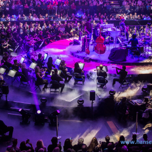 David_Garrett_Hamburg_2016_644_