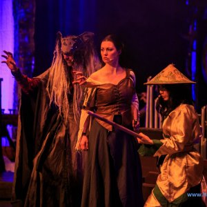 Corvus_Corax_der_Fluch_des_Drachen_Stade_2018_419_