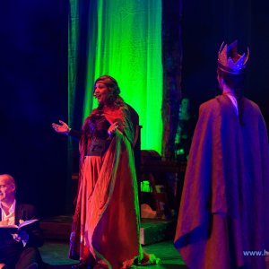 Corvus_Corax_der_Fluch_des_Drachen_Stade_2018_489_