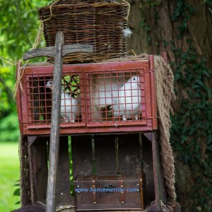 Der_Kaiser_kommt_nach_Bad_Bevensen_2019-366