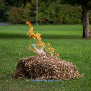 Der_Kaiser_kommt_nach_Bad_Bevensen_2019-711