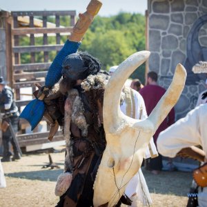Drachenfest_2018-1239