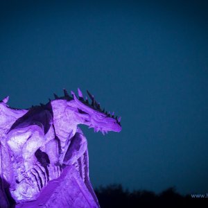 Drachenfest_2018-3321