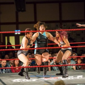 wXw_16Carat_Gold_Revenge_Kutenholz_2019-1026