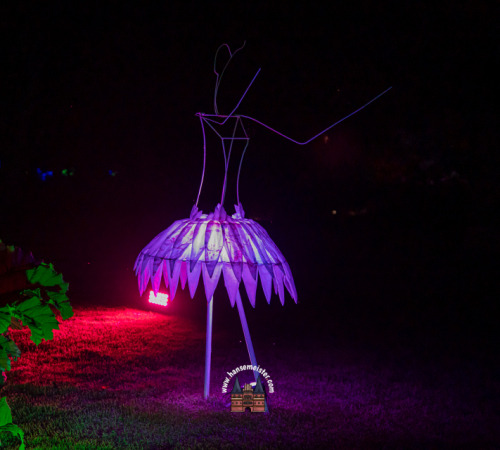 Faun-park-der-gaerten-2024-483