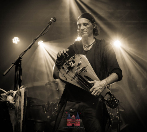 mps_buebu2_03.08-faun-10