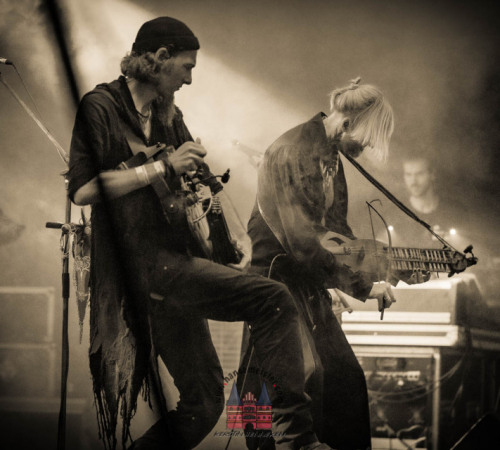 mps_buebu2_03.08-faun-30