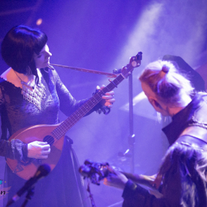 faun-gruenspan-hamburg-1.3.23-523