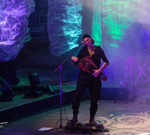 faun_28.10-154
