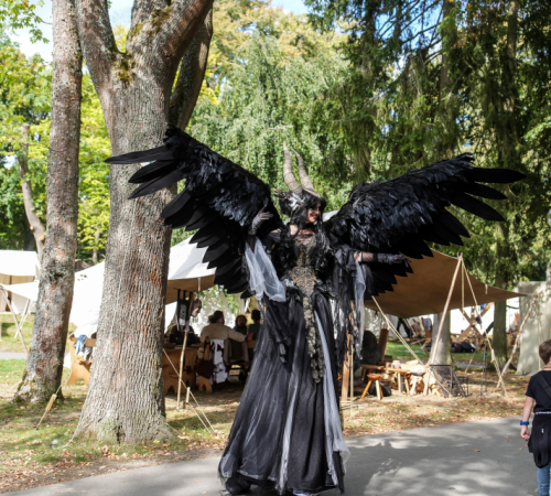 Festival-Medival-Freitag-2025-kein-Logo-160-von-488