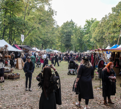 Festival-Medival-Freitag-2025-kein-Logo-247-von-488