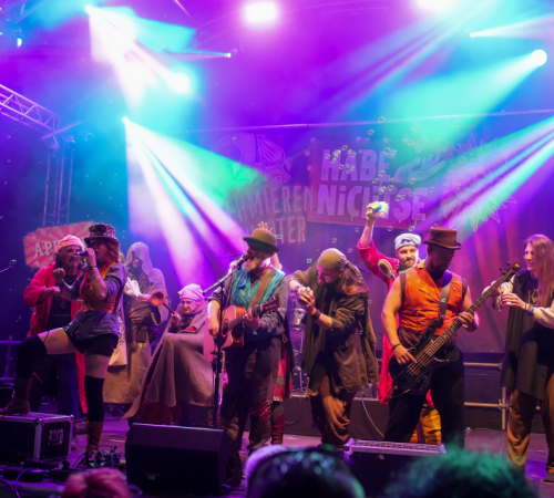 Festival-Medival-Freitag-2025-kein-Logo-454-von-488