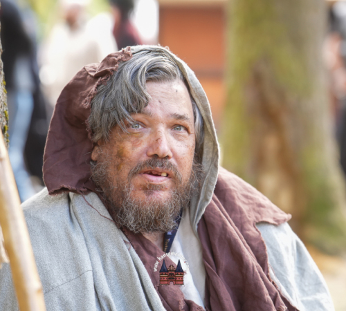 Festival-Medival-Sonntag-2025-hansemeister.com-1018
