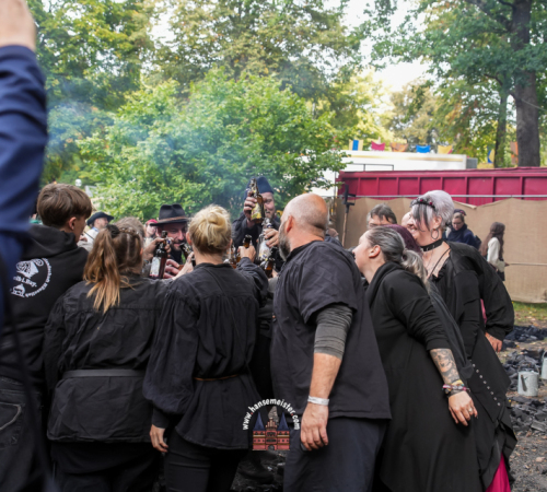 Festival-Medival-Sonntag-2025-hansemeister.com-1062
