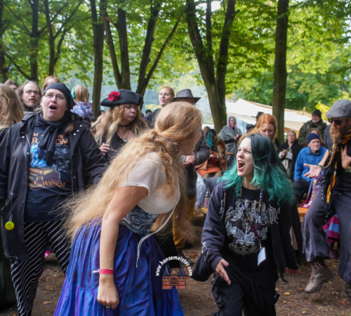 Festival-Medival-Sonntag-2025-hansemeister.com-119