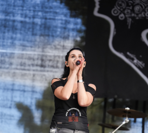 Festival-Medival-Sonntag-2025-hansemeister.com-1260