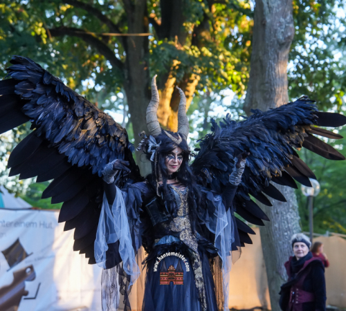Festival-Medival-Sonntag-2025-hansemeister.com-1853