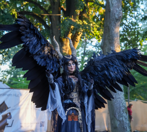 Festival-Medival-Sonntag-2025-hansemeister.com-1856