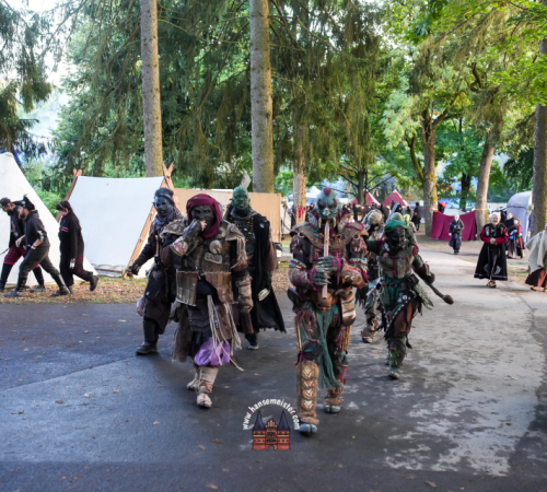 Festival-Medival-Sonntag-2025-hansemeister.com-1860