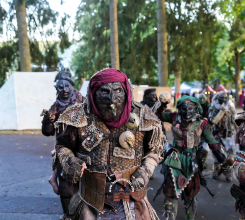 Festival-Medival-Sonntag-2025-hansemeister.com-1866
