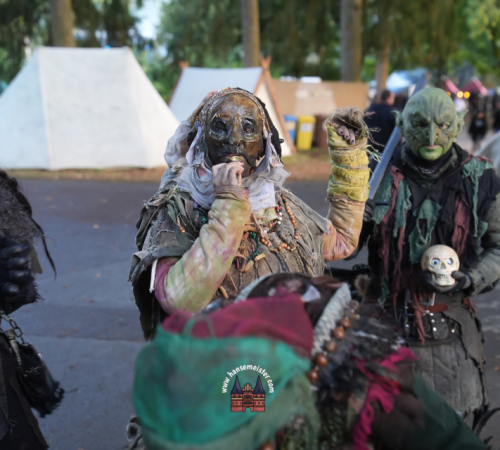 Festival-Medival-Sonntag-2025-hansemeister.com-1879