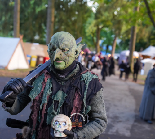 Festival-Medival-Sonntag-2025-hansemeister.com-1894