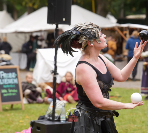 Festival-Medival-Sonntag-2025-hansemeister.com-533