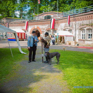 Festungstage_Grauerort_Samstag_2017_454_
