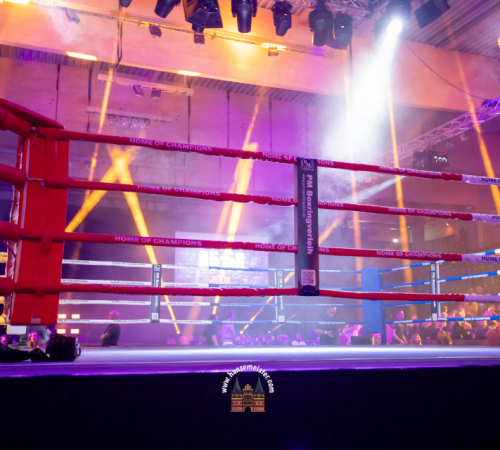 get-in-the-ring-2024-16