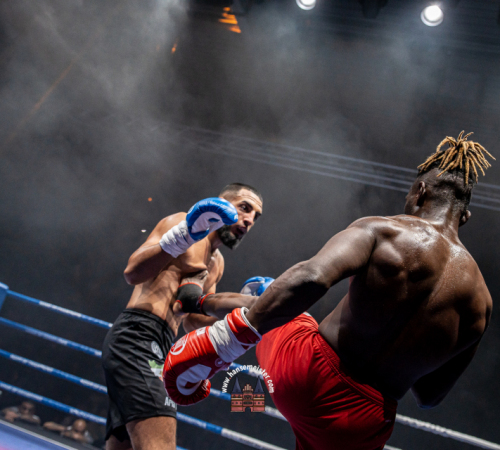 get-in-the-ring-2024-2084