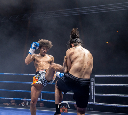 get-in-the-ring-2024-3384