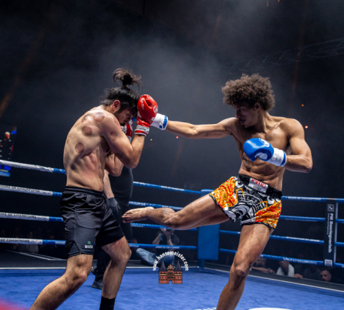 get-in-the-ring-2024-3435