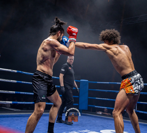 get-in-the-ring-2024-3436