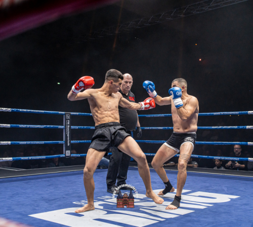 get-in-the-ring-2024-350