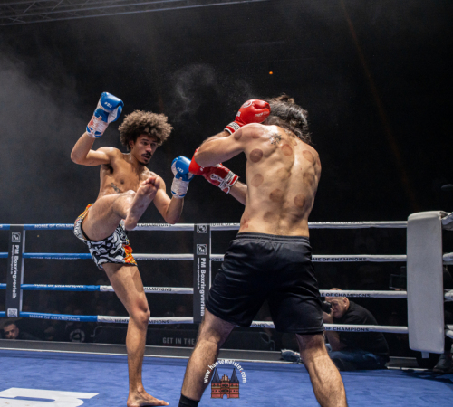 get-in-the-ring-2024-3629