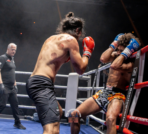 get-in-the-ring-2024-3664