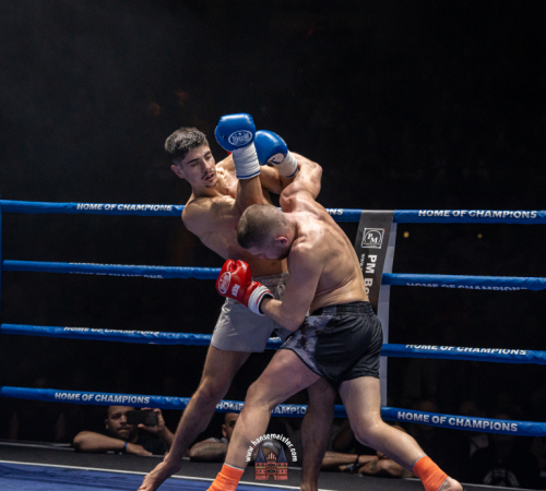 get-in-the-ring-2024-4149