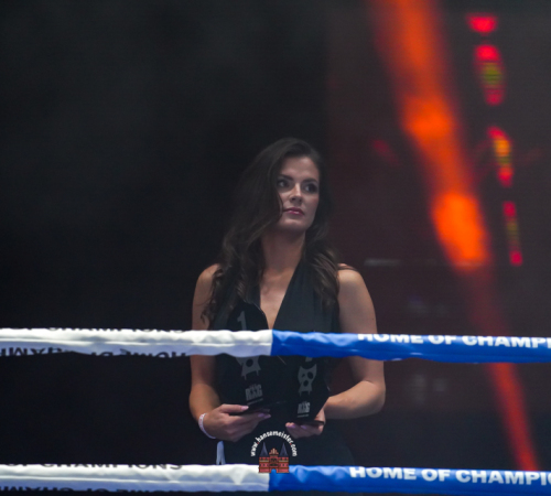 get-in-the-Ring-Kickboxen-hamburg-hansemeister.com-2025-1009