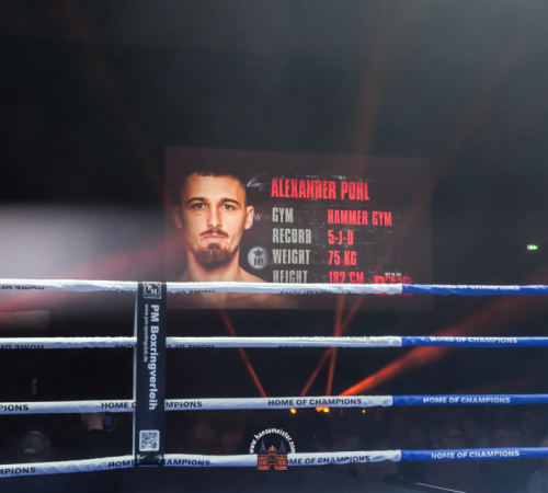 get-in-the-Ring-Kickboxen-hamburg-hansemeister.com-2025-1012