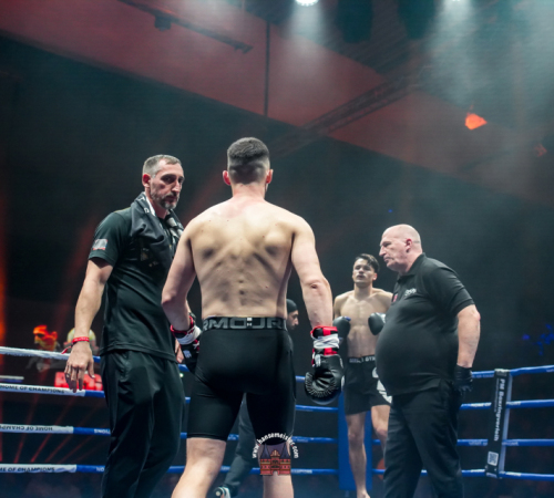 get-in-the-Ring-Kickboxen-hamburg-hansemeister.com-2025-1029