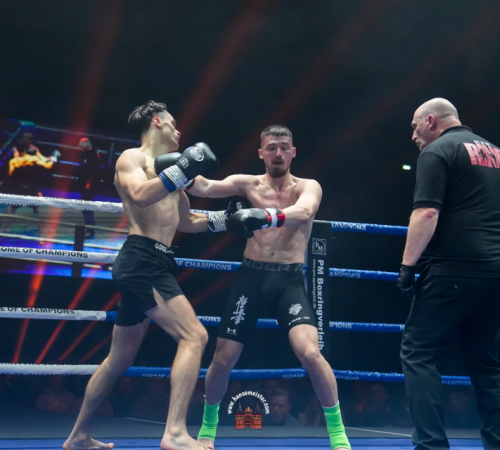 get-in-the-Ring-Kickboxen-hamburg-hansemeister.com-2025-1061