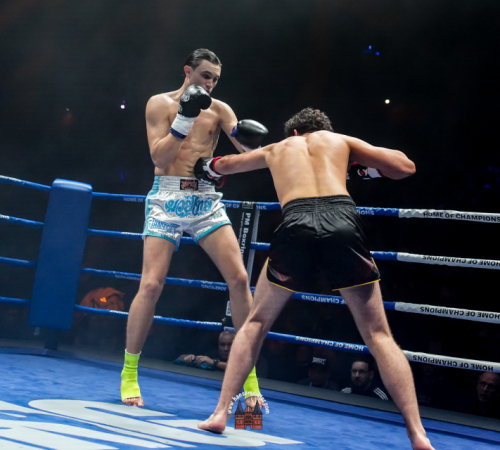 get-in-the-Ring-Kickboxen-hamburg-hansemeister.com-2025-1218