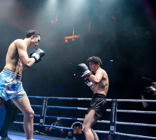 get-in-the-Ring-Kickboxen-hamburg-hansemeister.com-2025-1249