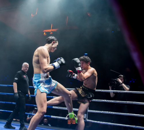 get-in-the-Ring-Kickboxen-hamburg-hansemeister.com-2025-1250