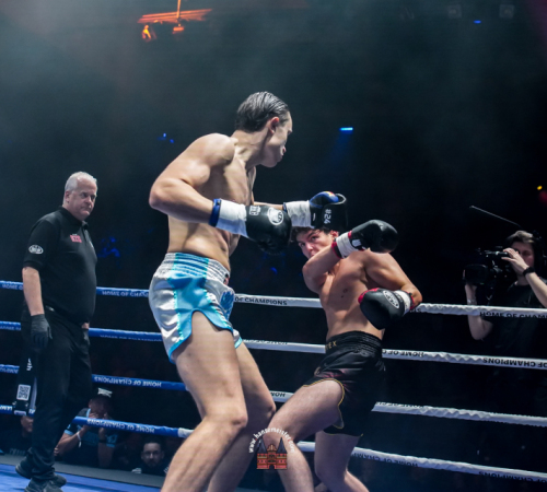 get-in-the-Ring-Kickboxen-hamburg-hansemeister.com-2025-1252