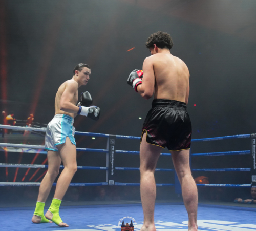 get-in-the-Ring-Kickboxen-hamburg-hansemeister.com-2025-1300