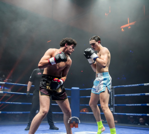 get-in-the-Ring-Kickboxen-hamburg-hansemeister.com-2025-1312