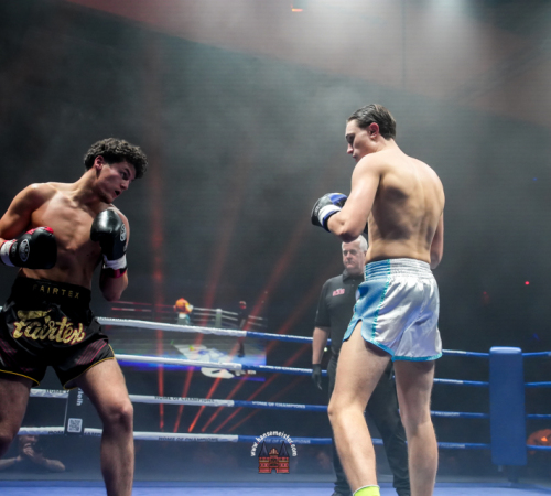 get-in-the-Ring-Kickboxen-hamburg-hansemeister.com-2025-1317