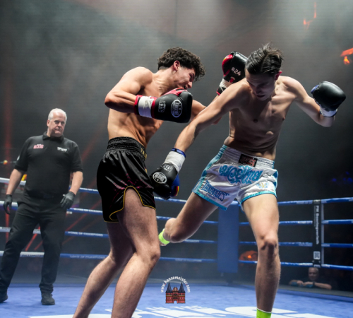 get-in-the-Ring-Kickboxen-hamburg-hansemeister.com-2025-1325