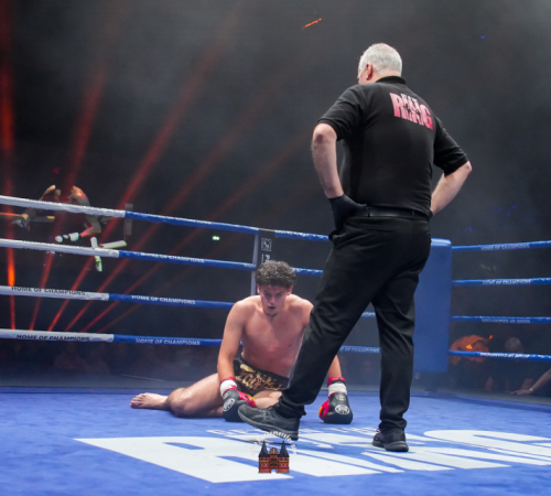 get-in-the-Ring-Kickboxen-hamburg-hansemeister.com-2025-1346